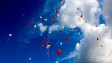 Red and White Flowers in the Sky