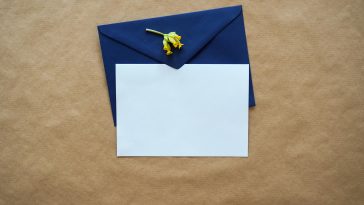 Thank you Letter After Viewing an Apartment