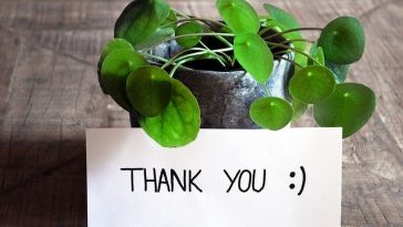 Thank you letter to wife